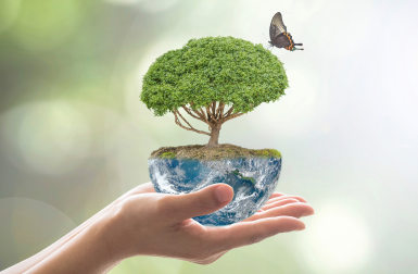 MarcumAsia - MarcumAsia